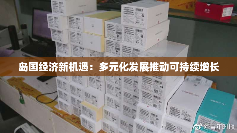 岛国经济新机遇：多元化发展推动可持续增长