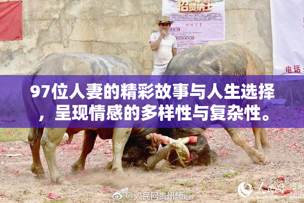 97位人妻的精彩故事与人生选择，呈现情感的多样性与复杂性。