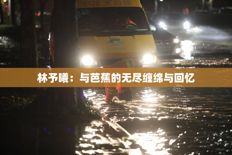 林予曦：与芭蕉的无尽缠绵与回忆