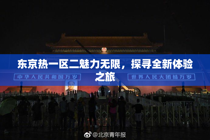 东京热一区二魅力无限，探寻全新体验之旅