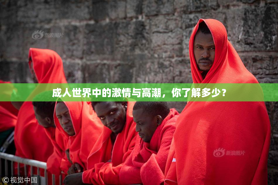 成人世界中的激情与高潮，你了解多少？