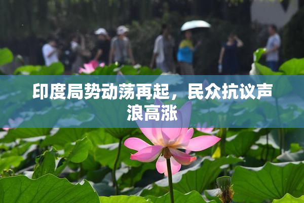 印度局势动荡再起，民众抗议声浪高涨