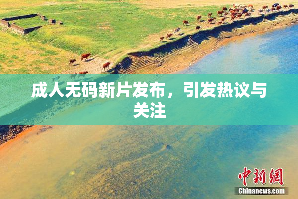 成人无码新片发布，引发热议与关注