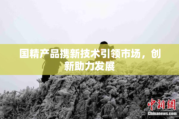 国精产品携新技术引领市场，创新助力发展