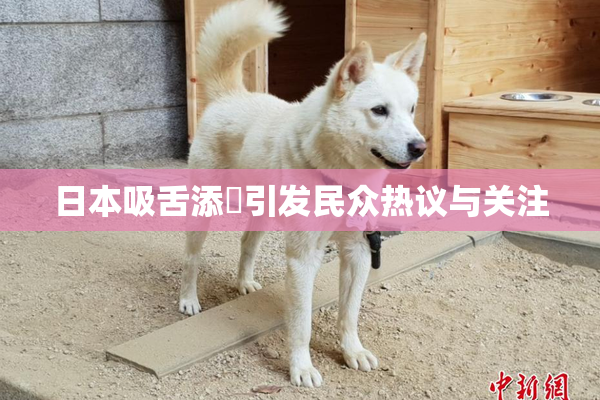日本吸舌添泬引发民众热议与关注