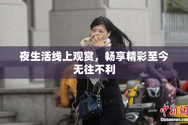 夜生活线上观赏，畅享精彩至今无往不利