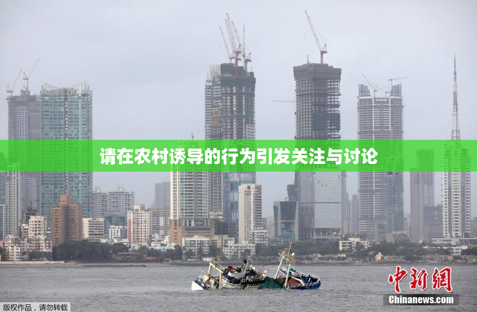 请在农村诱导的行为引发关注与讨论