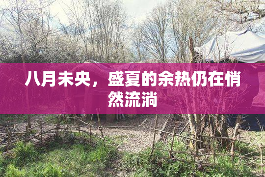 八月未央，盛夏的余热仍在悄然流淌