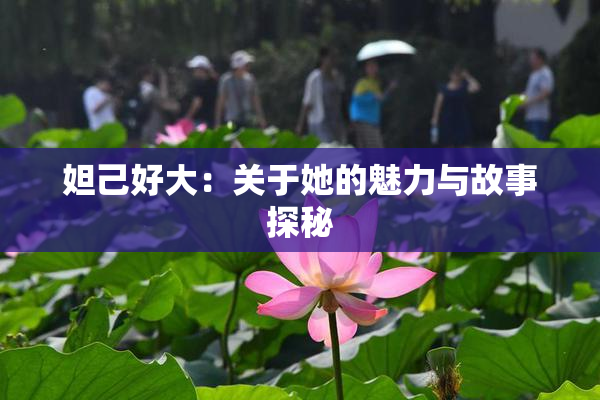 妲己好大：关于她的魅力与故事探秘