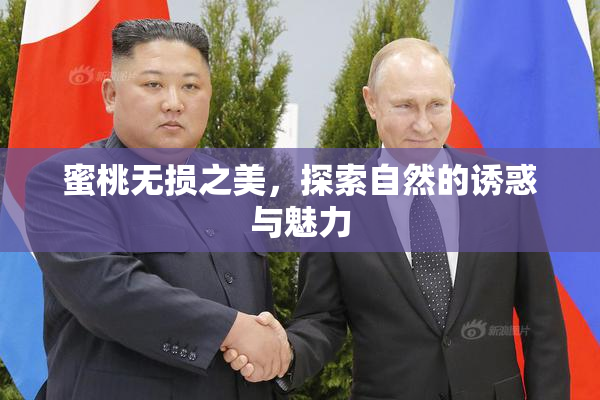 蜜桃无损之美，探索自然的诱惑与魅力