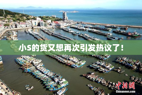 小S的货又想再次引发热议了！
