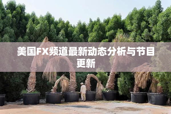 美国FX频道最新动态分析与节目更新