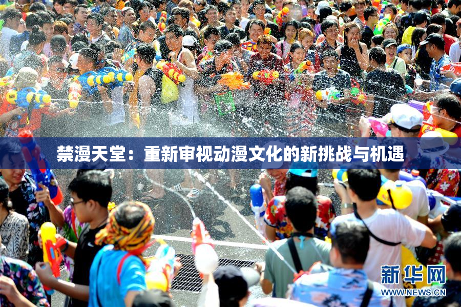 禁漫天堂：重新审视动漫文化的新挑战与机遇