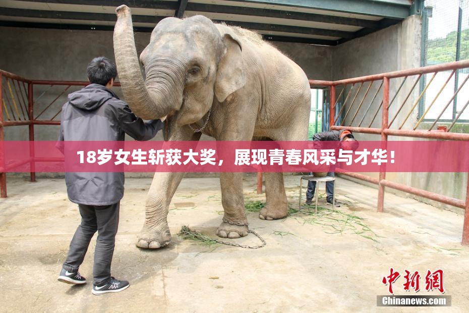 18岁女生斩获大奖，展现青春风采与才华！