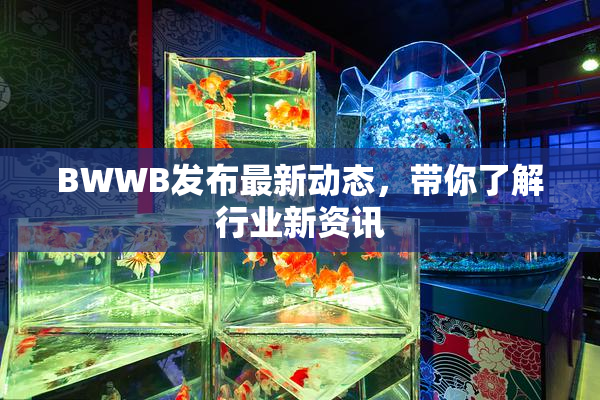 BWWB发布最新动态，带你了解行业新资讯