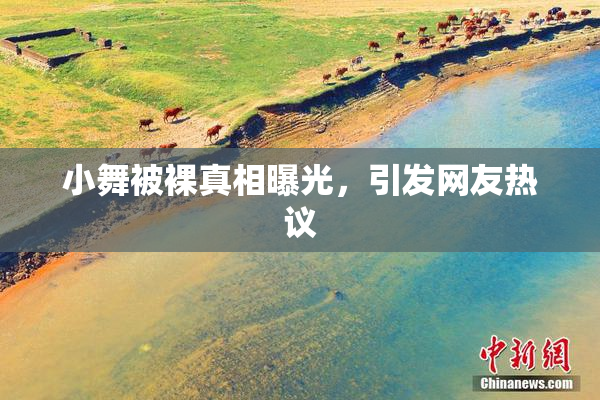 小舞被裸真相曝光，引发网友热议