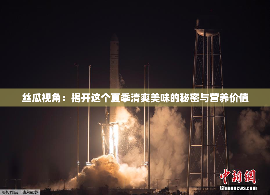 丝瓜视角：揭开这个夏季清爽美味的秘密与营养价值