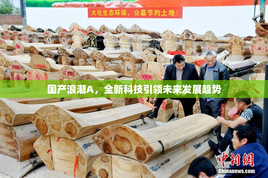 国产浪潮A，全新科技引领未来发展趋势