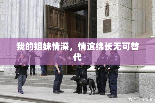我的姐妹情深，情谊绵长无可替代