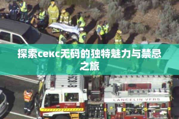 探索секс无码的独特魅力与禁忌之旅