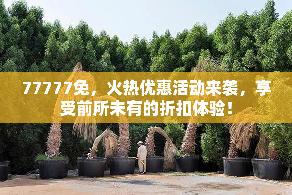 77777免，火热优惠活动来袭，享受前所未有的折扣体验！