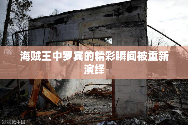 海贼王中罗宾的精彩瞬间被重新演绎
