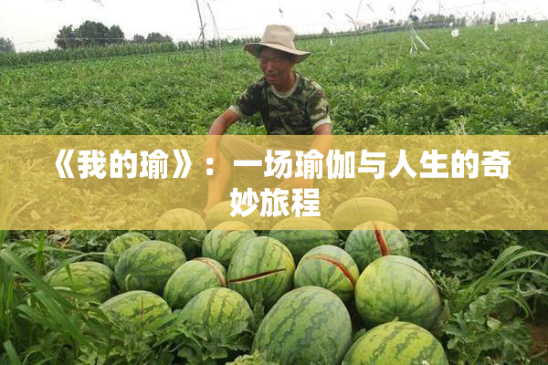 《我的瑜》：一场瑜伽与人生的奇妙旅程