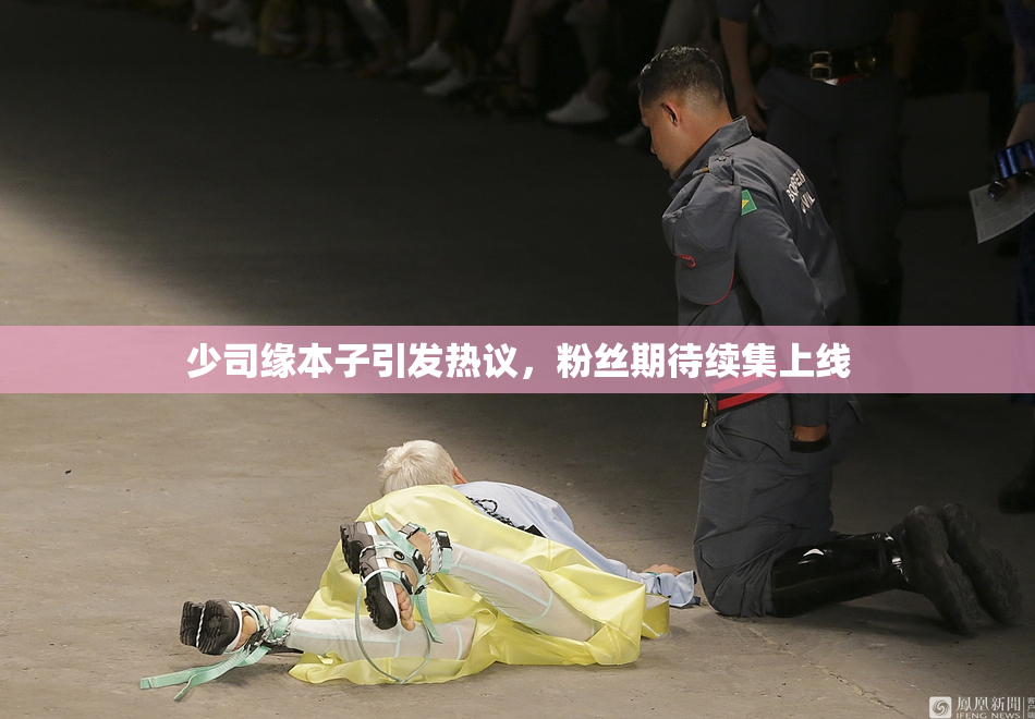 少司缘本子引发热议，粉丝期待续集上线
