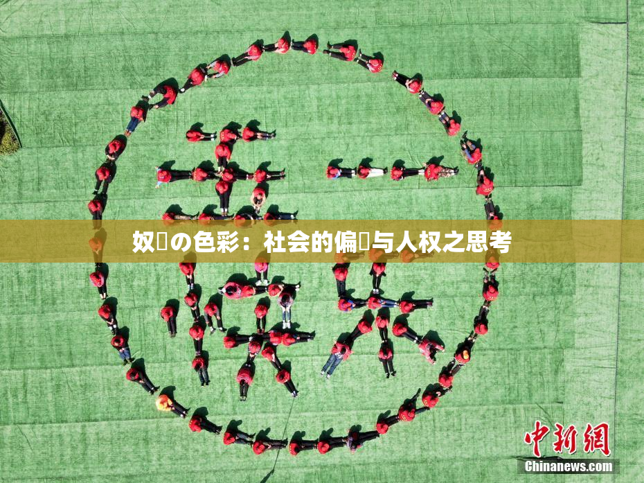 奴隷の色彩：社会的偏見与人权之思考