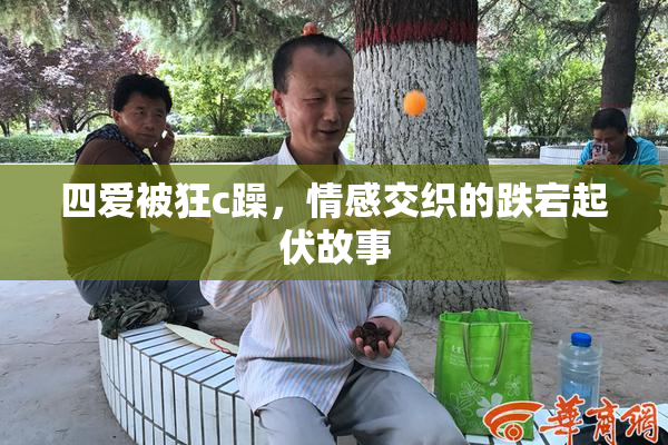 四爱被狂c躁，情感交织的跌宕起伏故事