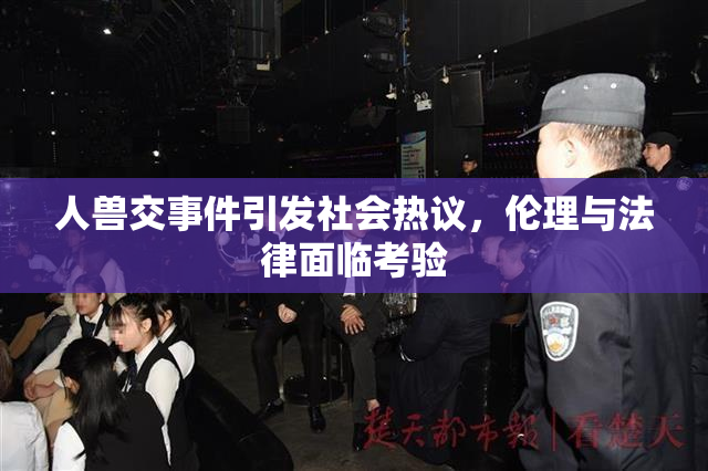 人兽交事件引发社会热议，伦理与法律面临考验