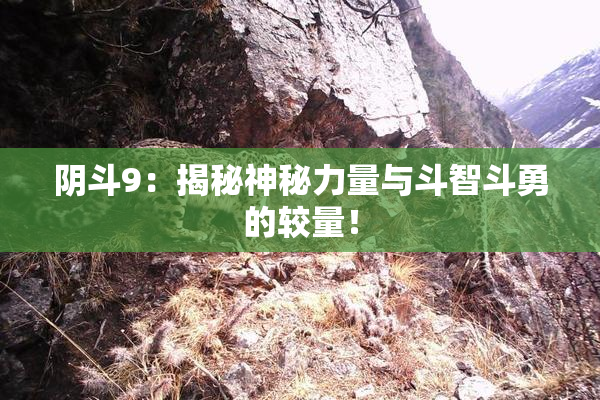 阴斗9：揭秘神秘力量与斗智斗勇的较量！