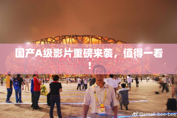 国产A级影片重磅来袭，值得一看！
