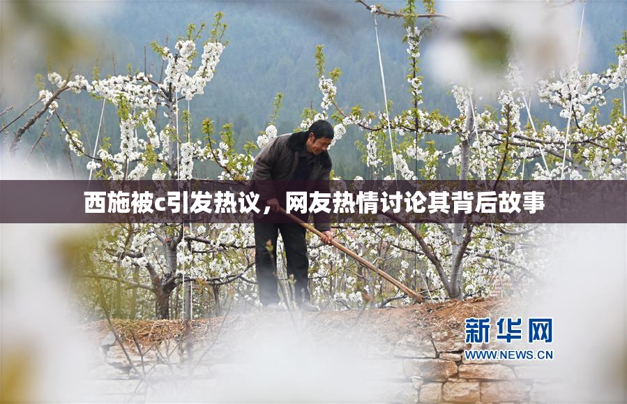 西施被c引发热议，网友热情讨论其背后故事