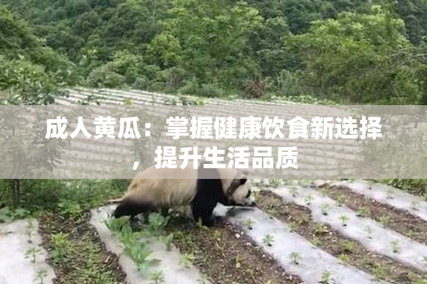成人黄瓜：掌握健康饮食新选择，提升生活品质