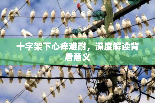十字架下心痒难耐，深度解读背后意义