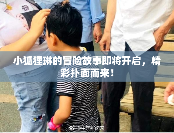 小狐狸琳的冒险故事即将开启，精彩扑面而来！