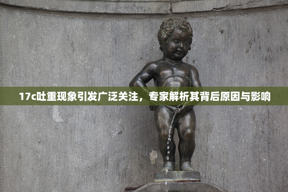 17c吐重现象引发广泛关注，专家解析其背后原因与影响