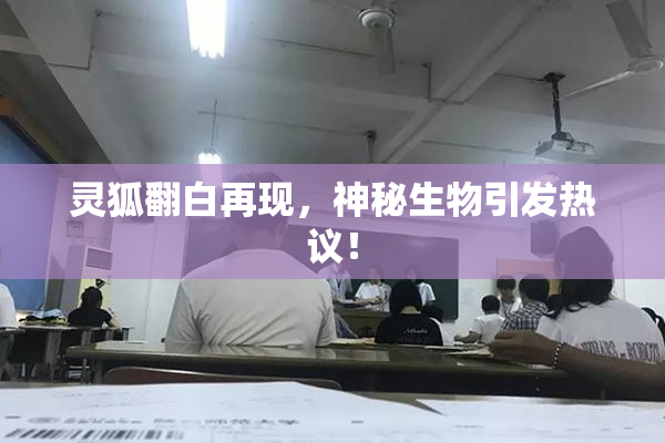 灵狐翻白再现，神秘生物引发热议！