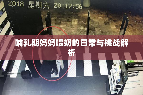 哺乳期妈妈喂奶的日常与挑战解析
