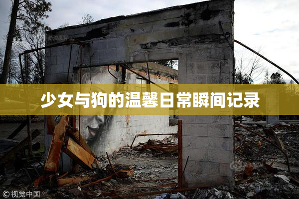 少女与狗的温馨日常瞬间记录