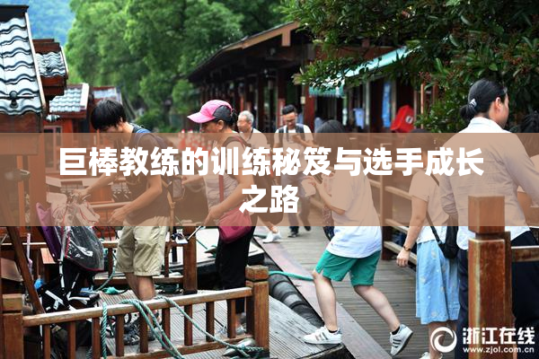 巨棒教练的训练秘笈与选手成长之路