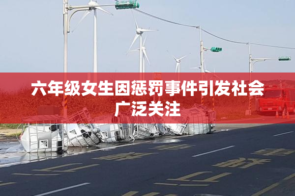 六年级女生因惩罚事件引发社会广泛关注