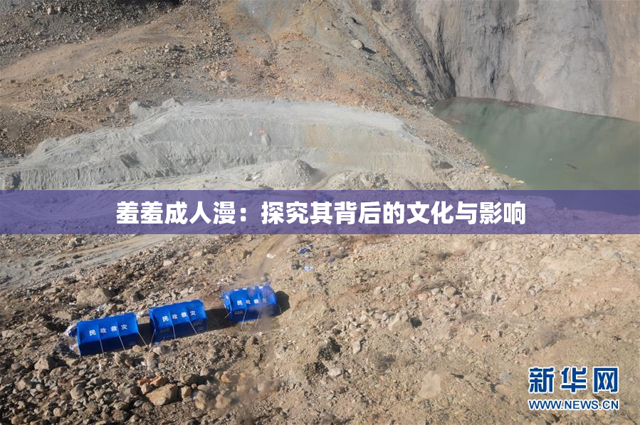 羞羞成人漫：探究其背后的文化与影响