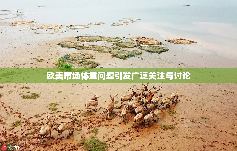 欧美市场体重问题引发广泛关注与讨论