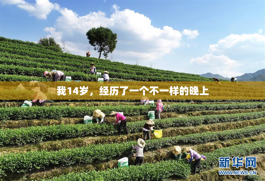 我14岁，经历了一个不一样的晚上