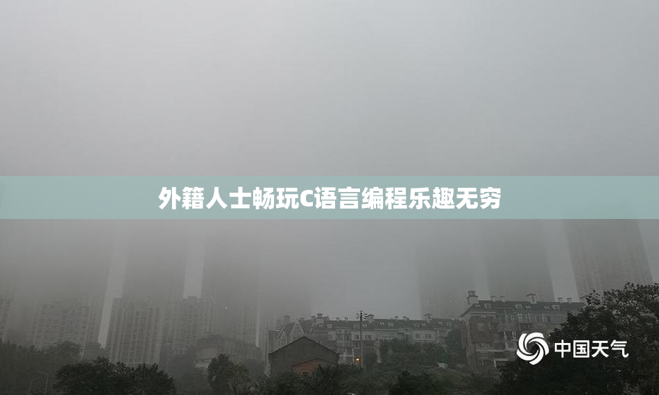 外籍人士畅玩C语言编程乐趣无穷