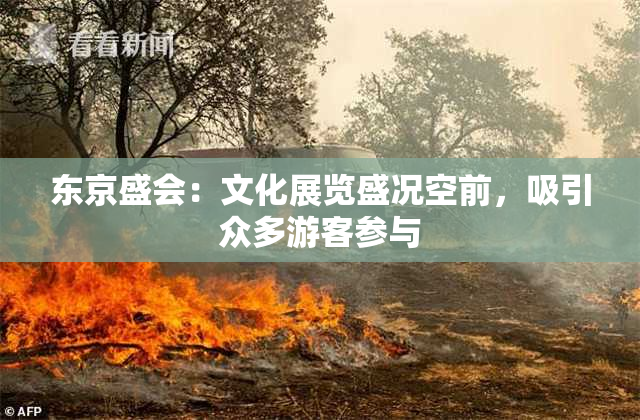 东京盛会：文化展览盛况空前，吸引众多游客参与