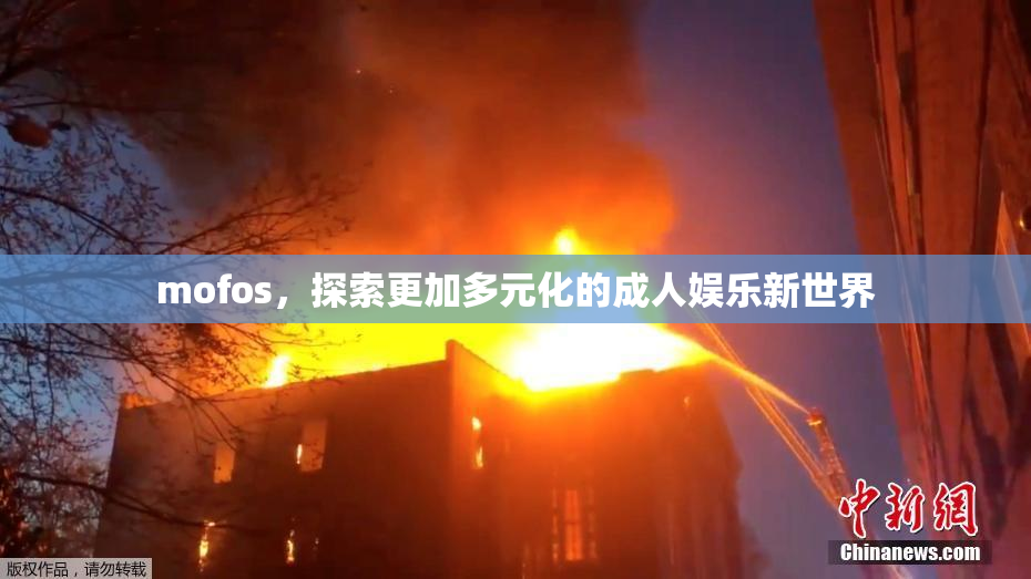 mofos，探索更加多元化的成人娱乐新世界