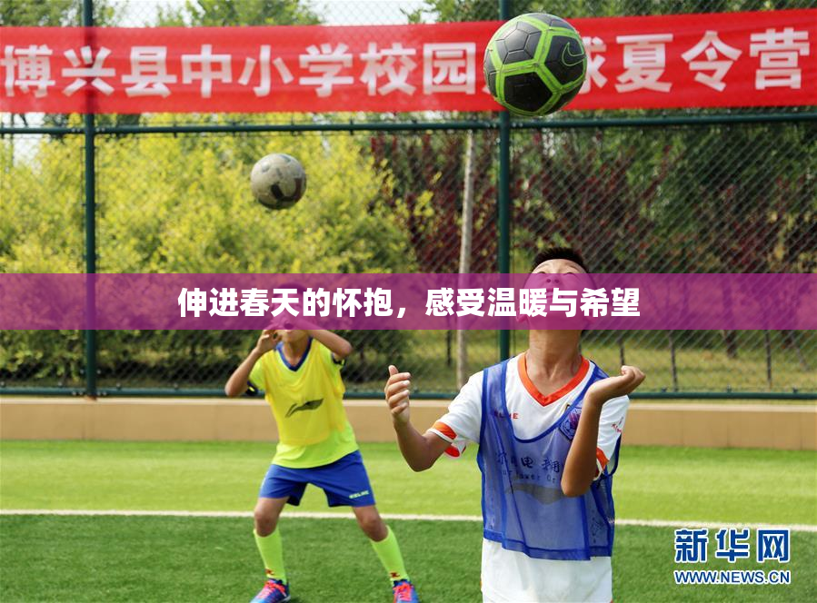 伸进春天的怀抱，感受温暖与希望